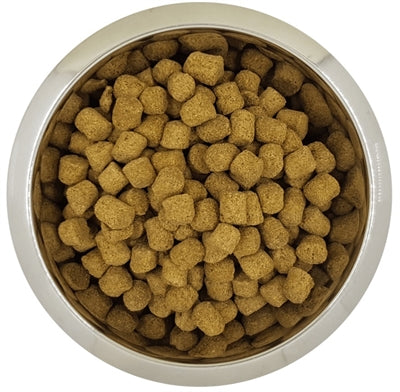 Yourdog Königspudel Erwachsen 12 KG