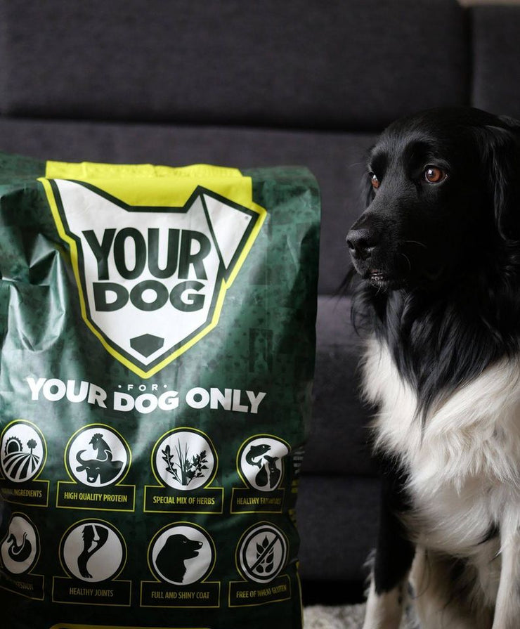 Bully XL Adult rassespezifisches Trockenfutter von Yourdog für erwachsene Hunde