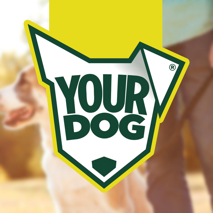Bully XL Adult rassespezifisches Trockenfutter von Yourdog für erwachsene Hunde